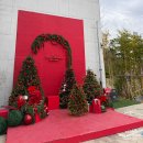 강서목장 | 부산강서구대형카페 카페보다, 애견동반 크리스마스 시즌 방문기