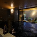 도쿄 새로 오픈한 신상 호텔 정리│Newly Opened Hotel in Tokyo│2023~2024상반기│3성급