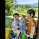 경기도 용인시농촌테마파크 놀이터 | 물놀이, 식사 가능한 용인농촌테마파크 후기(놀이터, 수유실 있음)