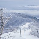 (주)곤지암현대써비스 경향신문