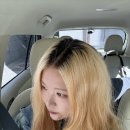 금발미장원 - 군산시 | 청주_ 뿌리 탈색 맛집 찾았다… 청주미용실추천 다겸디자이너님 🩷🩷 - 골목미장원 봉명점