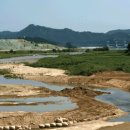 낙동강제방(1) 이미지
