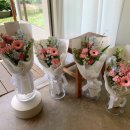 더피우리 이미지