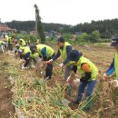 김용환농장 이미지