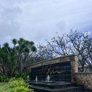 리셉션 | 나트랑 미아 리조트 숙박 후기 리셉션과 자연 친화적인 객실