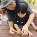 뉴한가람어린이집 이미지