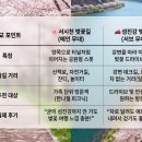 서시천자전거길1 이미지