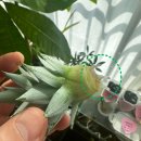 파인땡큐앤유 | 프로젝트 헤일메리처럼 지구에 도착한 날, 프로젝트 파인탱큐 !