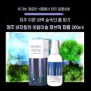 비자림의아침