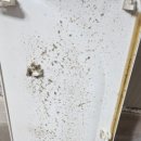 클린 원 | 대전에어컨청소 에어클린원 홈케어 맡긴 후기