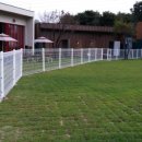 랩도그빌 이미지