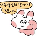 임광세탁 이미지