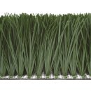 서면 실내게이트볼장 게이트볼장 이미지