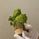 성수역 2번출구 이미지