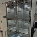 채움동물병원 네이버블로그