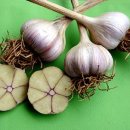 만인약국 이미지