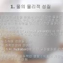 해삼 효능 해삼내장 효능 해삼 칼로리 이미지