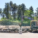 퍼피월드제주 이미지