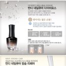 디자인반디 이미지