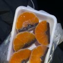 제원목장 | 첫 , 제주 🍊