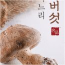 혜미농장 티스토리