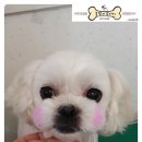 뚱＆뚱자