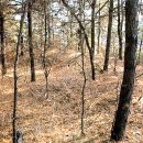 상주 금흔리 이부곡토성 이미지