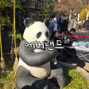 여주고등학교 | 겨울 에버랜드 후기 (사파리, 바오하우스, 아마존익스프레스, 주차, 식당 정보)