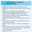 Therapeutic Exercise 6장 손상된 근육수행력 개선을 위한 저항운동 이미지