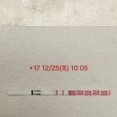 선보약국 | [난임일기 #12] 아기집 보기 전 일주일의 기록, 쓰리라인 임테기 추가, 그리고 대망의 아기집 초음파 날!