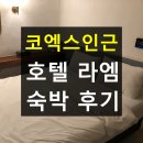 호텔라엠 HOTEL La M | [코엑스 숙소 (강남 호텔)] 가성비 좋고 넷플릭스 시청 가능한 삼성동 호텔