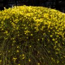 안산 식물원 이미지