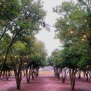 예쁜언니들 샵 이미지