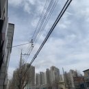 [목포] 북항 파스타 맛집 원스어데이, 하루에 한 번