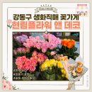 하나꽃직매 | [강동구] 길동 천호 둔촌동 주차가능 꽃집 맞춤 꽃다발 대규모 꽃가게 '현림플라워앤데코'