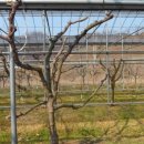 경재농장 이미지