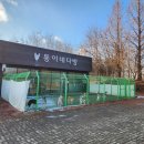 [천안 애견카페] 대형견 천국, 통이네 다방 후기 🐶✨