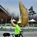 아라 Daum카페