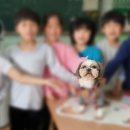 복산초등학교 이미지