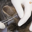유앤동물의료센터 이미지