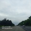 곡성기차마을 장미축제에 다녀왔어요 이미지