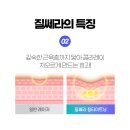 골든발란스의원 이미지