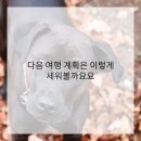 둔산카써비스 이미지