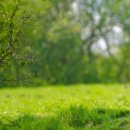 계림한의원 이미지