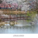 영산 만년교 이미지