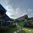 앤드퍼피 | 양평 애견팬션 앤드퍼피 후기. feat.견생 첫수영