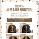 미용도소매 이미지