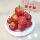 청백반점 이미지