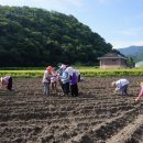 동오농장 이미지