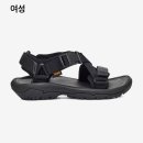 테바 이미지